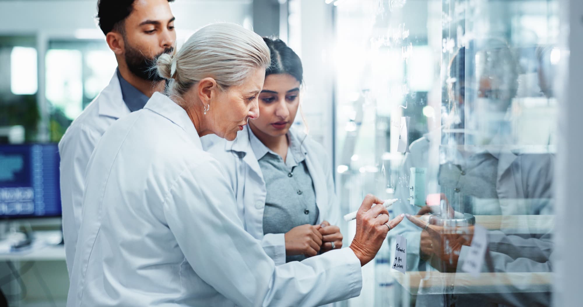Grain ingredient research